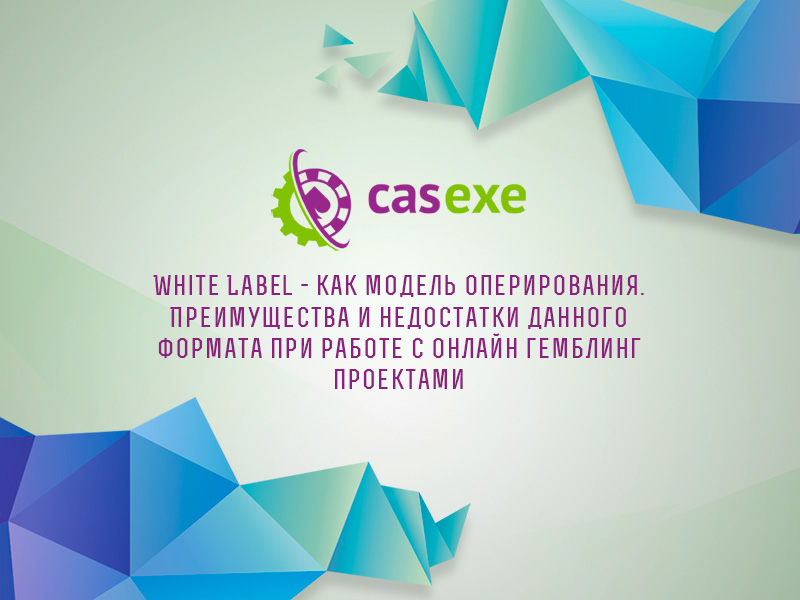 CASEXE подвела итоги вебинара, посвященного White Label