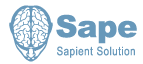 Компания Sape представит новый доклад на конференции RACE-2014 