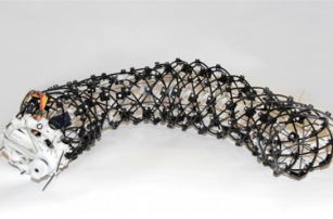 3D-печатный биомиметический червь-бот может использоваться для обследования труб и раскопок