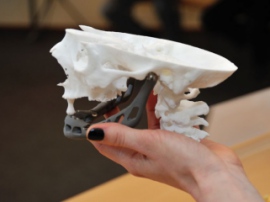 3D Systems предлагает решение для реконструкции зубов и челюстей за одну операцию