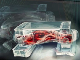 Американские исследователи опубликовали инструкцию по созданию 3D-печатных биороботов