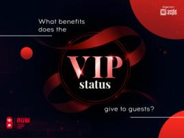 Benefits that a VIP ticket gives to attendees of Russian Gaming Week (infographics)