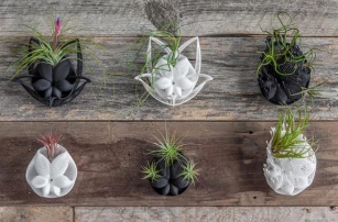 Художник создает великолепные декорации из растений на 3D-принтере