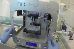 Напечатанные на 3D-принтере хрящи впервые прижились в живом организме
