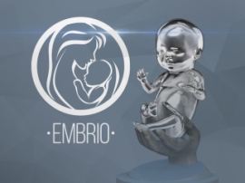 Российский стартап печатает эмбрионов на основе снимков 3D-УЗИ