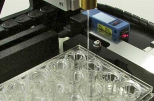 Samsara Sciences сфокусируется на 3D-биопечати клеток человеческой печени