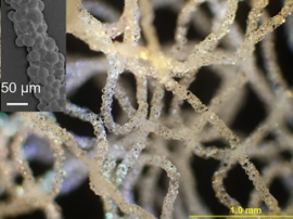 Учёные изобрели уникальный способ 3D-печати в воде
