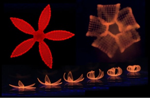 В США на 3D-принтере напечатали шевелящиеся искусственные цветы