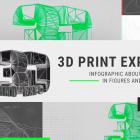 3D Print Expo: Infographic about Event in Figures and Facts