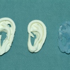 3D-технология позволила напечатать уши для тренировок врачей