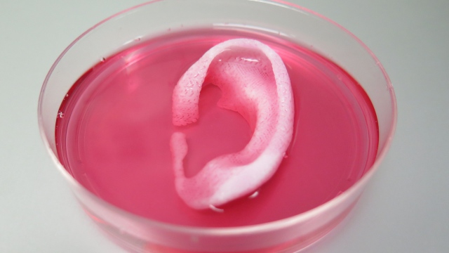 3D-печатное биостекло поможет восстановить хрящевую ткань