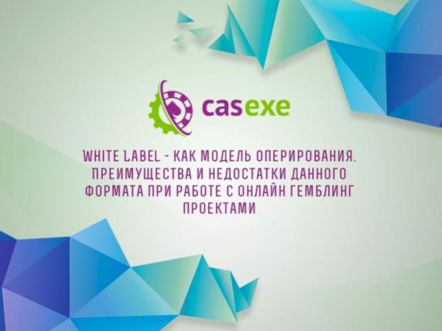 CASEXE подвела итоги вебинара, посвященного White Label