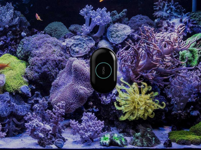 MOAI robot takes care of your aquarium