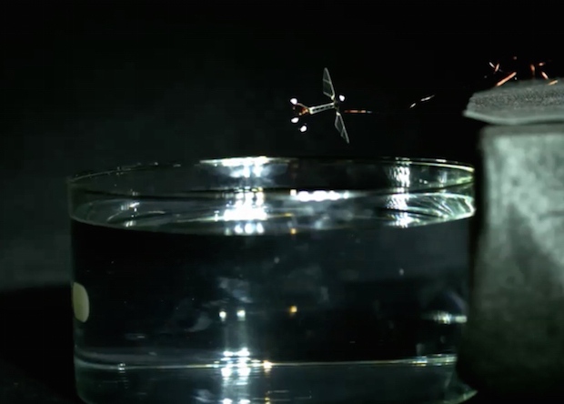 Робот-пчела теперь может плыть под водой