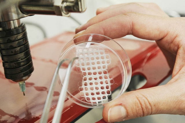 Учёные занялись активной разработкой метода выращивания искусственной кожи посредством 3D-печати