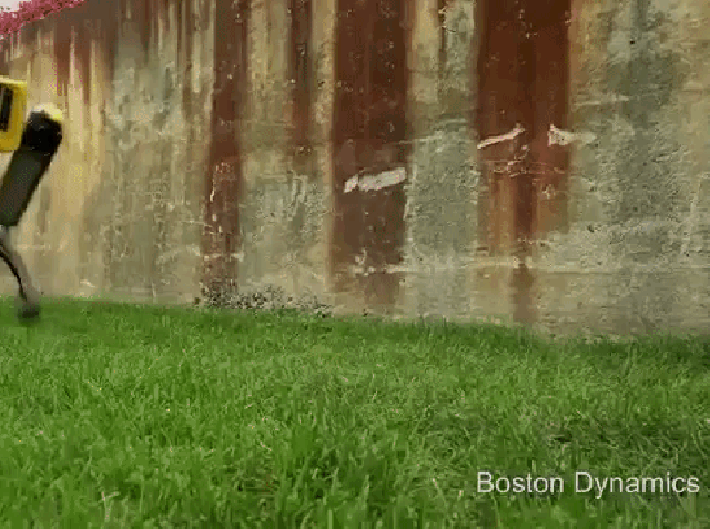 Boston Dynamics unveiled new robotic dog