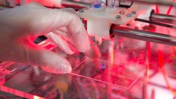 В Шотландии создают 3D-печатные стволовые клетки