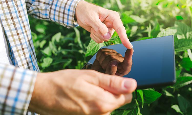 Японские коммуникационные компании развивают умное фермерство